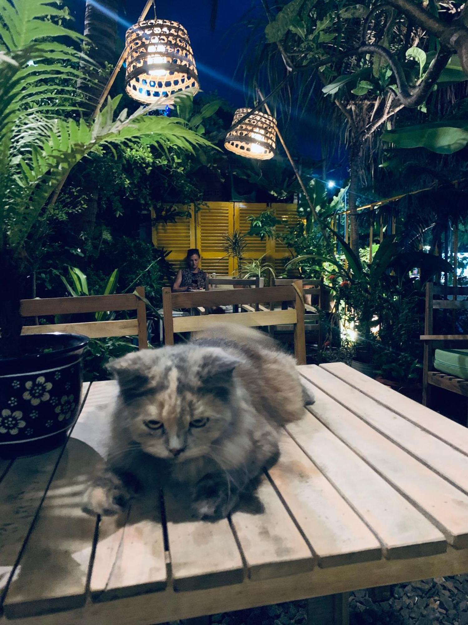 Chi Khu Co Ong 乌恩之家旅馆酒店 外观 照片
